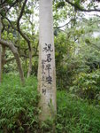 P1030595