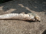 DSC06186