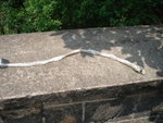 DSC06188