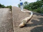 DSC06189