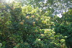 P1040128