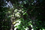 P1040131