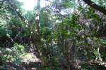 P1040132