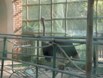 S1050402