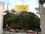 DSC06990