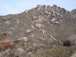 DSC08086
