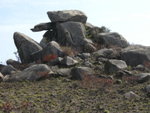 DSCN0249