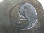 S1051305