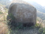 S1051307