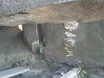 S1051316