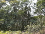 DSCN0881