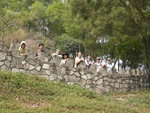 DSCN0886