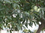 DSCN0998