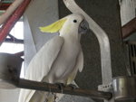 DSCN1220
