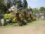 DSCN1225