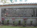 DSCN1230
