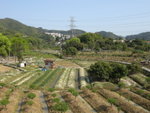 DSCN1231