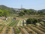 DSCN1232