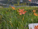 DSCN1245
