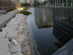 DSCN1248
