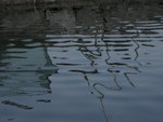 DSCN1249