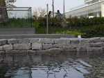 DSCN1250