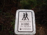 DSC09305