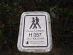 DSC09317
