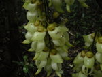 DSCN1600