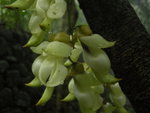 DSCN1602