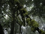 DSCN1604