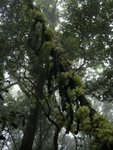 DSCN1605