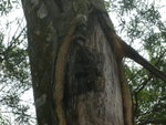 DSCN1629
