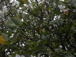 DSCN1630