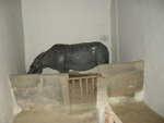 DSCN1824