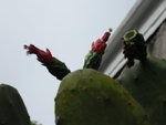 DSCN1829