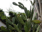 DSCN1830