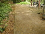 DSCN1832
