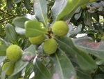 DSCN1848