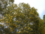 DSCN1849