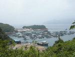 DSCN1884