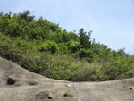 DSCN1894