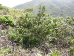 DSCN1895