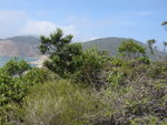 DSCN1896