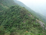 DSC09619