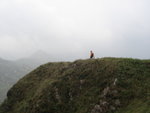 DSC09636