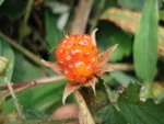 DSC09640