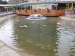 P6150002