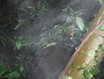 P6150019
