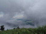 P6150032